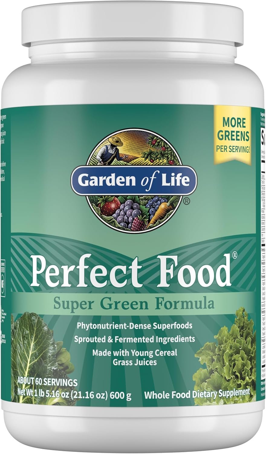 Garden of Life Perfect Food Super Green Formula – 60 Servings, 45 Superfoods, Greens, Fruit & Veggie Juice Superfood Powder Supplement, Probiotics & Organic Spirulina for Digestion & Immune Health